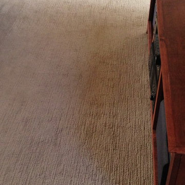 Carpet