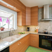 Kitchen Window