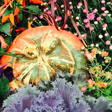 Container Gardens- Fall