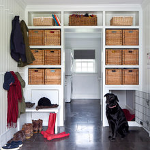 pet areas