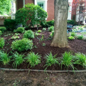 Our Work