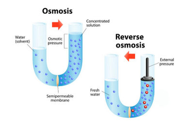 Reverse Osmosis Water Purifier | Water Technology