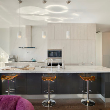 295 Adelaide St West Penthouse