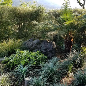 Hilltop Vista of Annadel