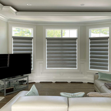 Springblinds Premium Zebra Dual Sheer Shades