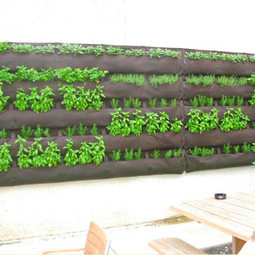 Our Work