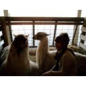 Katrina Ellis's photo