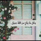 Sara Atef's photo