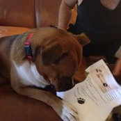 Patty Bash's photo