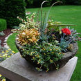 Ashley Hansen - Bachman's Garden Maintenance's profile photo