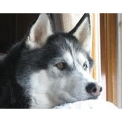 Erica Mascarello's photo