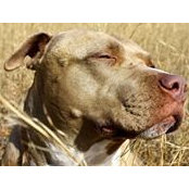 Mike Stallings's photo