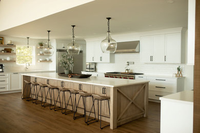 Example of a minimalist kitchen design in Boston