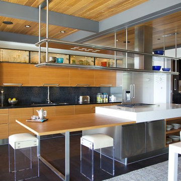Ray Kappe LEED Pre-fab