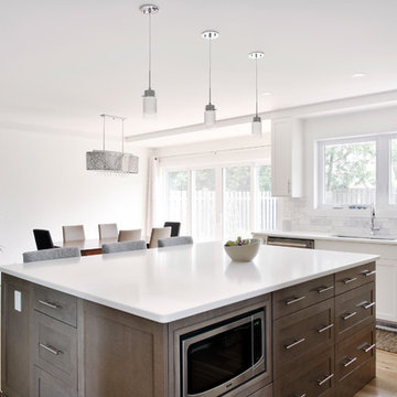 Fanshaw - Whole Home Renovation and Two-Story Addition