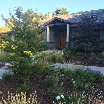 Front Lawn Removal - Los Altos