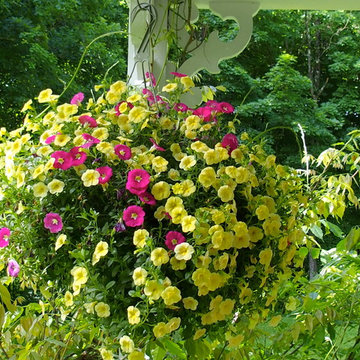 Garden Design - Traditional Plantings