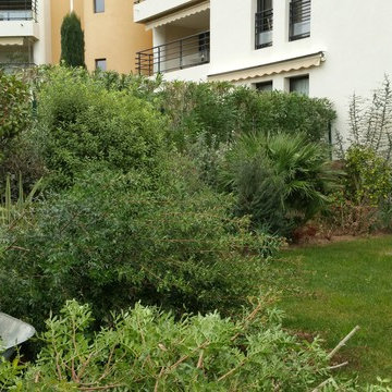 Aménagement d'un jardin privé