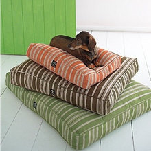 The Living Room
