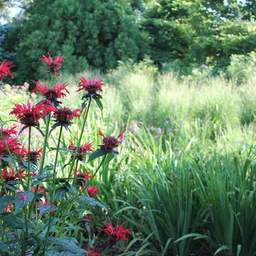 Cape Cod Garden