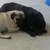 Suzy Griffith's photo