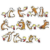 Carol Geddis's photo