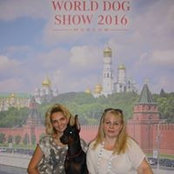 Yulia Kaverina's photo