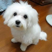 Foto de 蔡佳樺

