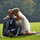 webuser_462418