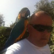 Anton Scicluna's photo
