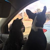 Sandra Parsons's photo