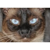 Jenise Bentle's photo
