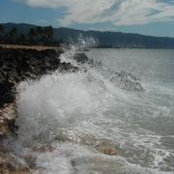 Tamara Regan's photo
