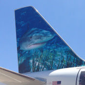 Rich Rondeau's photo