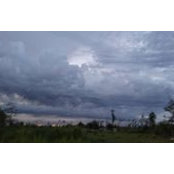 Melissa Marks's photo