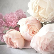 Sofia Ruiz's photo