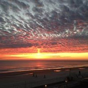 Darlene Shannon's photo
