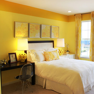 Skyview Collection at Brambleton