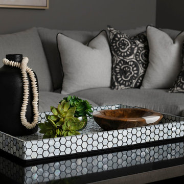 Celina Color-Filled Modern Furnishing