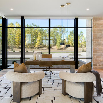 Desert Modern