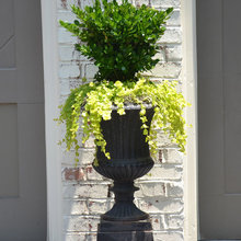 planters