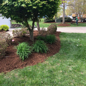 "Pine needles mulch"