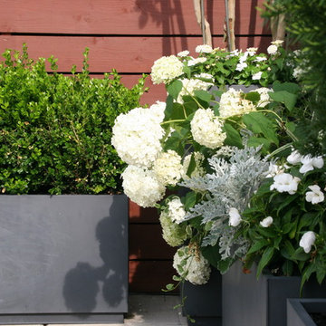 Hoboken Rooftop Garden