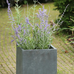 Industrial Outdoor Pots And Planters by Kasa Modern