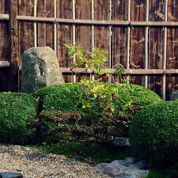 Jardin de thé