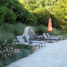mslark's landscapes