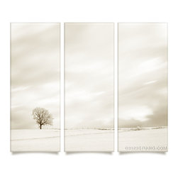 Tree Sepia Collection - Prints And Posters