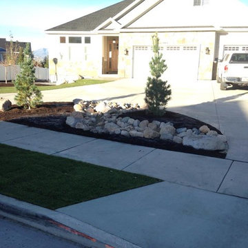 Recent Project