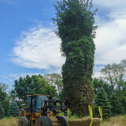Farms - Gardening And Lawn Care