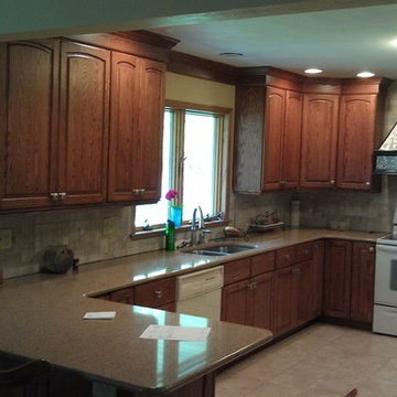 Omega Cabinetry. Brookside Arch door, Oak wood, Nutmeg stain.
